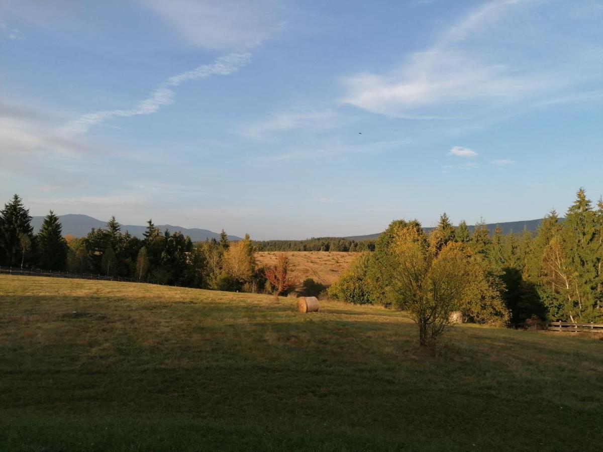 Beechtree Property Ivó Kültér fotó